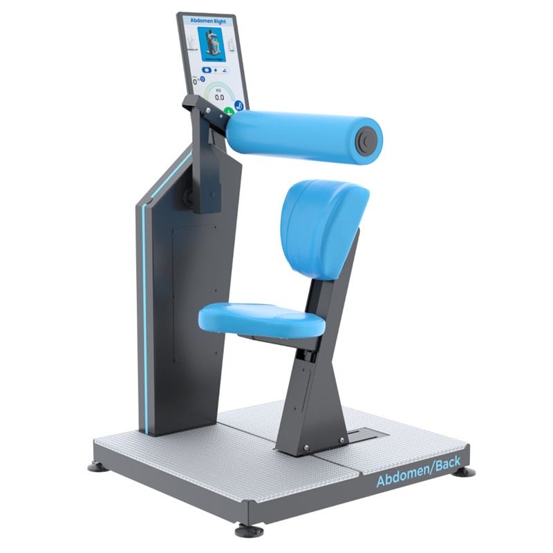 HUR Krafttraingsgerät Fitnessgerät Trainingsgerät Therapiegerät Rumpf Premium Line 5310 Hi5 Abdomen Back Rehab Bauch Rücken Muskelnln